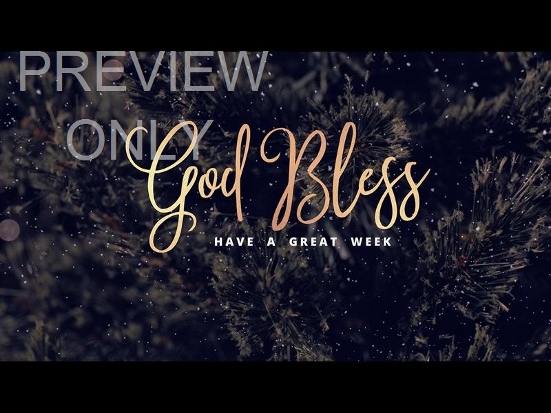 Christmas Tree Close Still