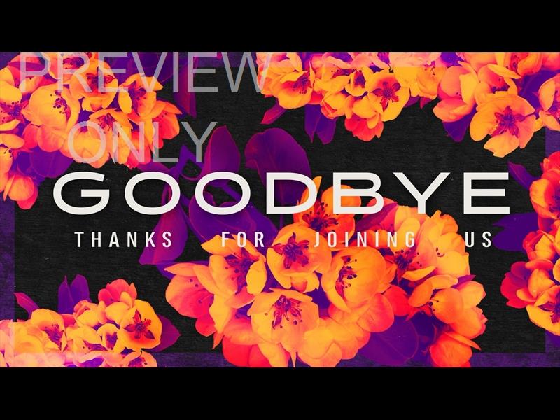 Bold Blooms Goodbye Still