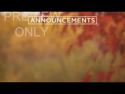 Fall Colors