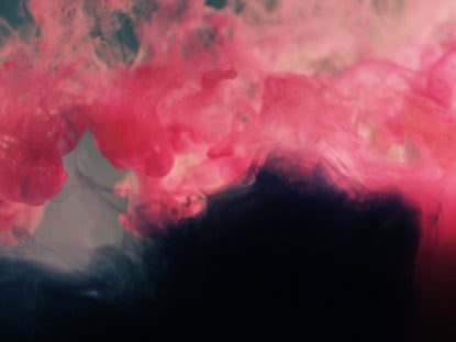 Pink And Indigo Plume