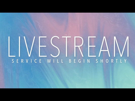 Springtide Livestream