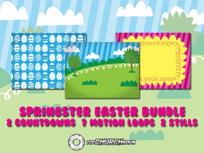 Springster Media Bundle