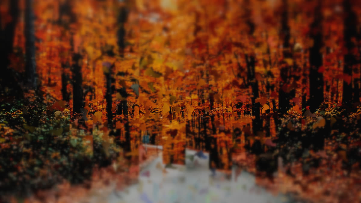 Autumns End 3
