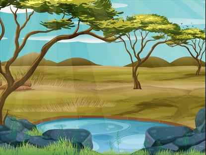 Safari Adventure Motion 6