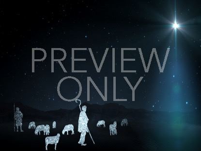 Starlight Nativity 5