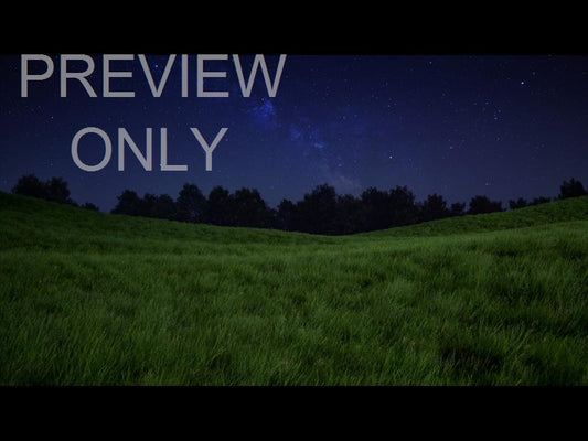 Prairie Night Flight Still