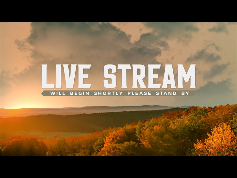 Wilderness Fall Live Stream
