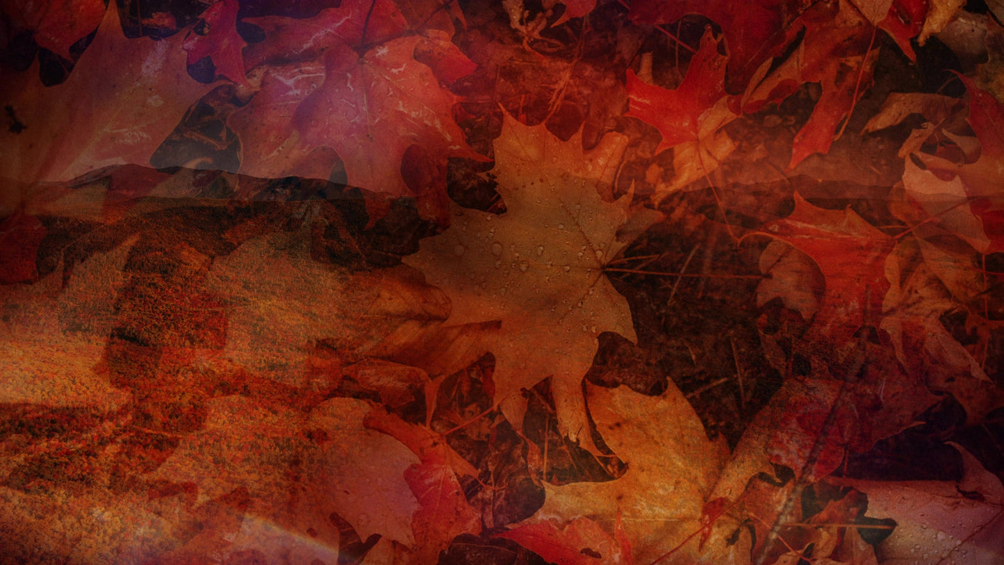 Subtle Fall 02 Still